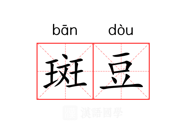 斑豆