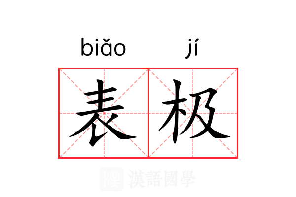 表极 表极
