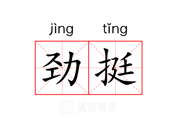 劲挺