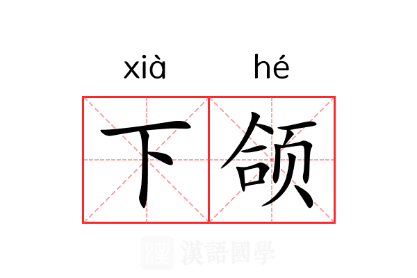 下颌