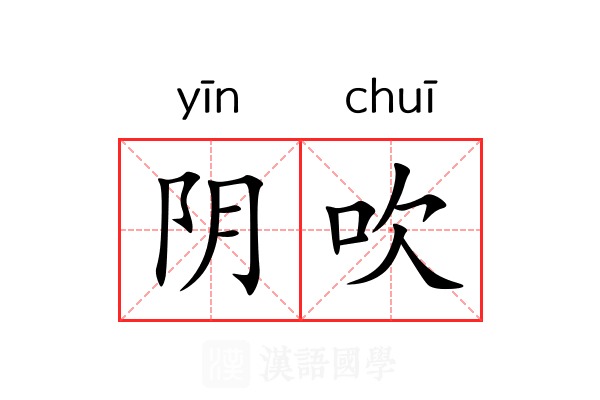 阴吹 阴吹