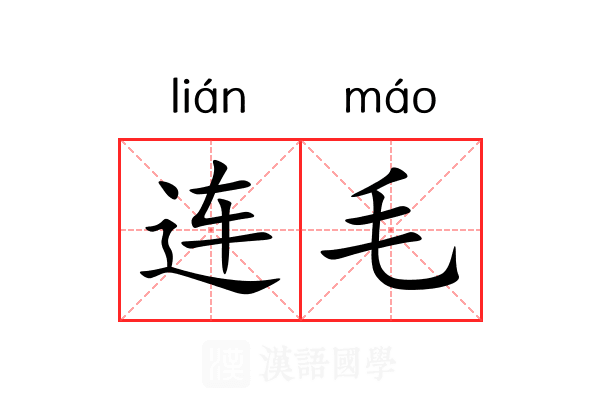 连毛 连毛