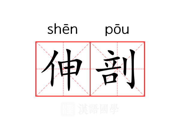伸剖