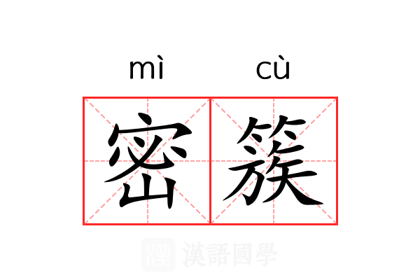 密簇