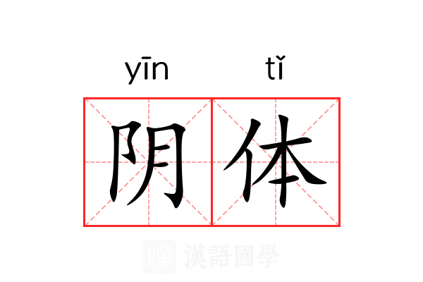 阴体 阴体