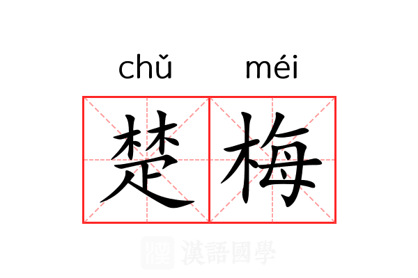 楚梅 楚梅