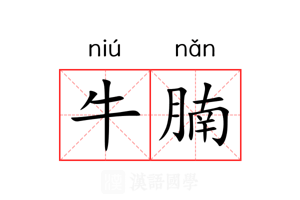 牛腩 牛腩