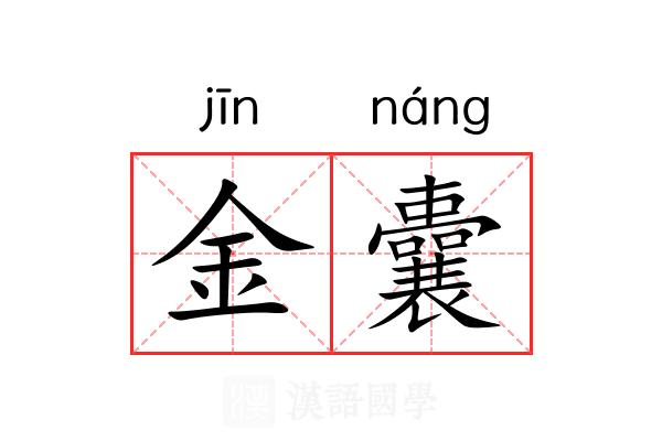 金囊 金囊