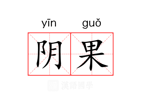 阴果 阴果