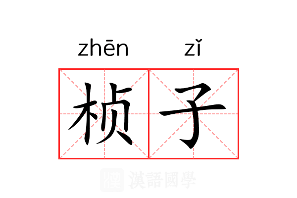 桢子 桢子