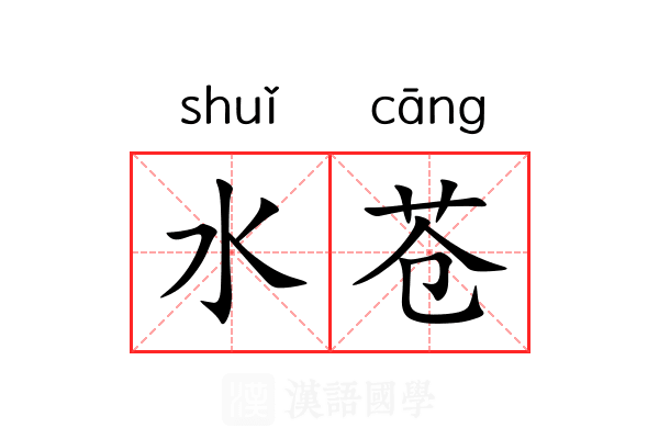 水苍 水苍