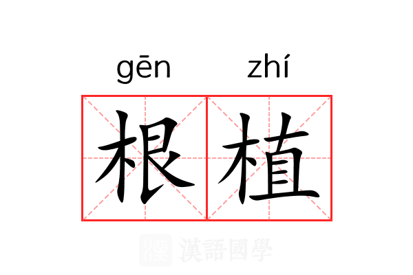 根植