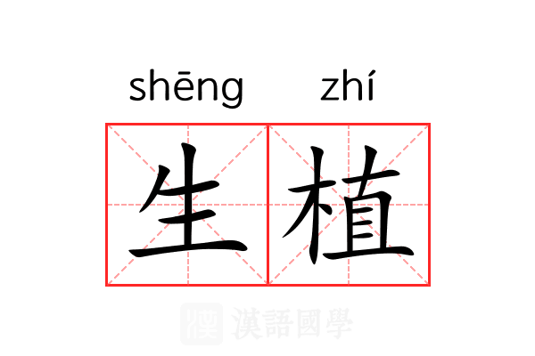生植