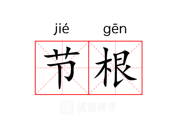 节根 节根
