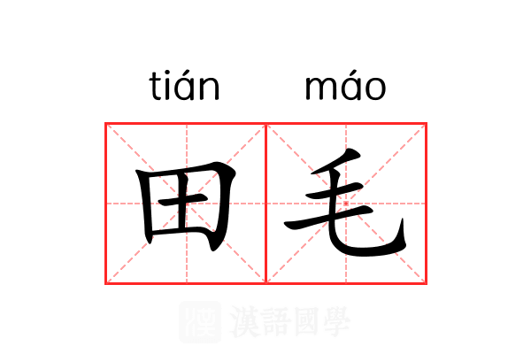 田毛 田毛
