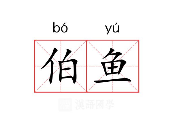 伯鱼 伯鱼