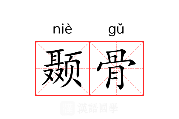 颞骨 颞骨