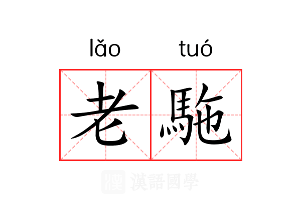 老駞 老駞