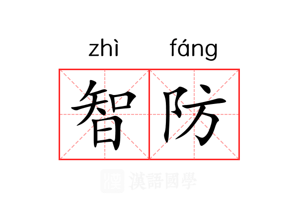 智防 智防