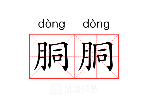 胴胴