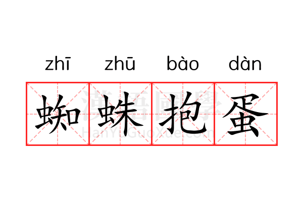 蜘蛛抱蛋 蜘蛛抱蛋