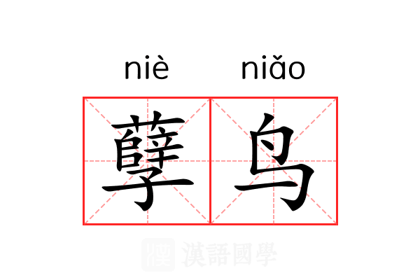 孽鸟