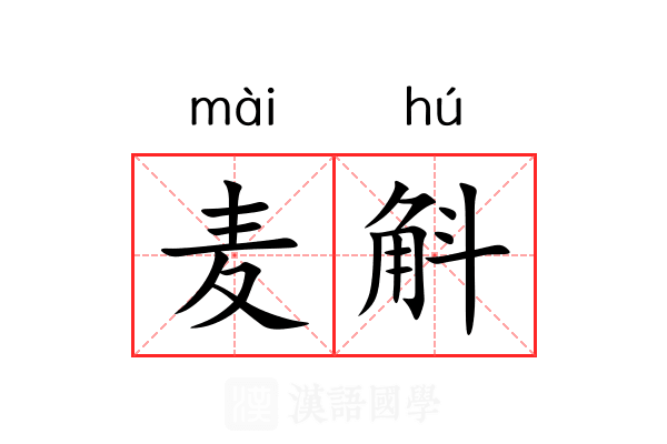 麦斛 麦斛