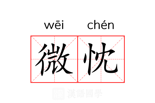 微忱