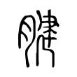 腱 腱