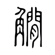 𧤽 𧤽