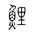 鯉 鯉