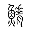 𩼿 𩼿