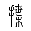 揲 揲