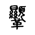 𩎍 𩎍