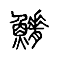 𩼿 𩼿