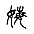 娒 娒